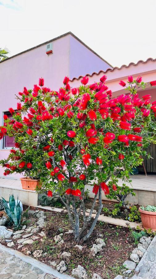 Apartment I Giardini Dell'agave Torre Santa Sabina