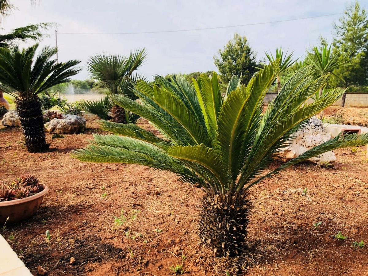 I Giardini Dell'agave Apartment *